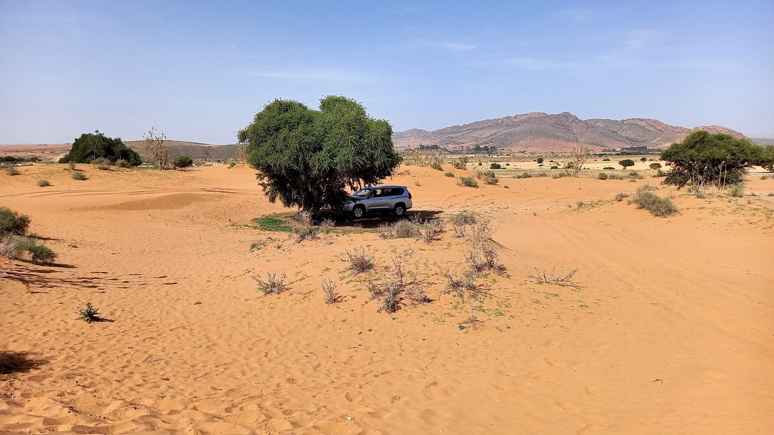 Excursión Pequeño Sahara 4x4 (1d)